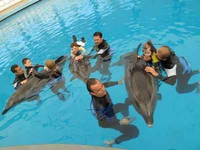 лечение детей инвалидов дельфинами