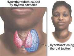 норма гормонов щитовидной железы у детей