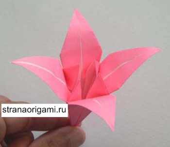 оригами простые схемы для детей цветы